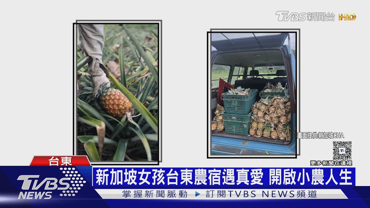 厭世OL變「鳳梨妹」! 新加坡女移居臺東 務農8年找回快樂｜十點不一樣20260227 @TVBSNEWS02