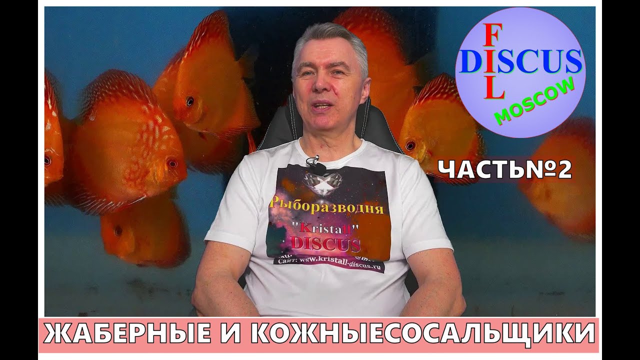 ДИСКУСЫ, ЖАБЕРНЫЕ И КОЖНЫЕ СОСАЛЬЩИКИ. Часть №2