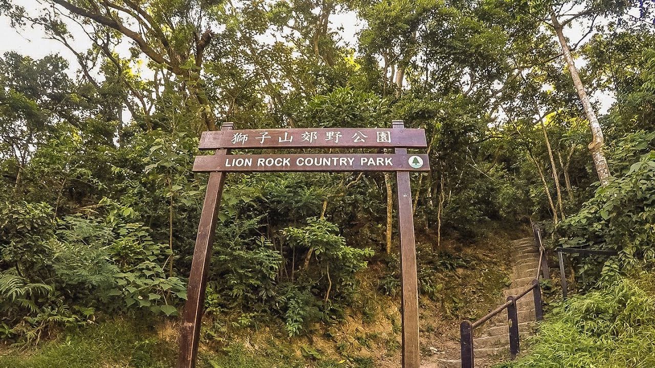 Lion Rock Hike #TrekSweatAndBooze #HikingKuys #AlliedExpressTravelandTours #ThisIsWhoWeAre