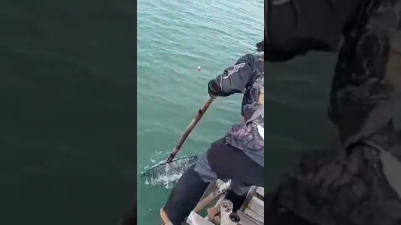 Evakuasi Penghuni Bagan Kapten Yadi || Pulau Tinil