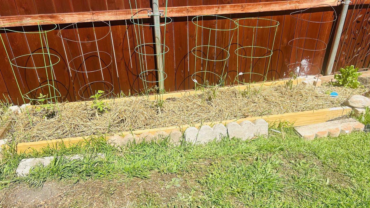 Garden Mishaps March 23, 2024
