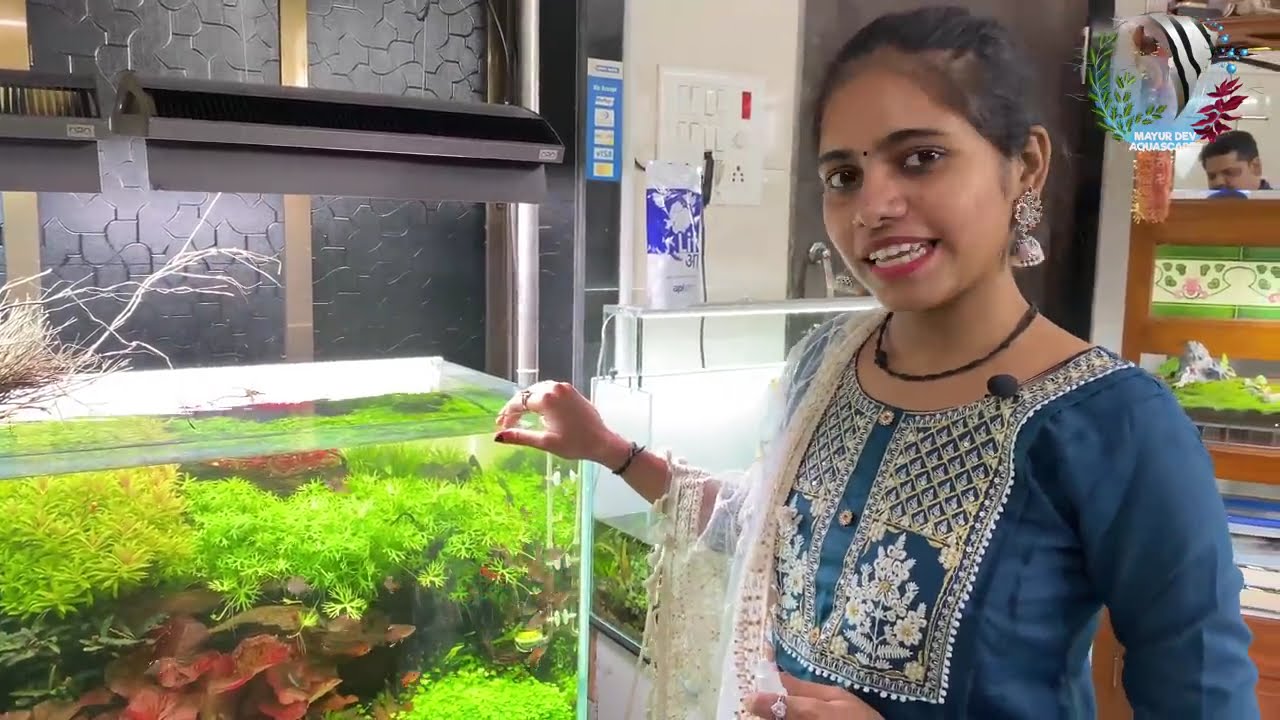 Fish Mortality in aquarium | Mayur Dev Aquascaper  4K