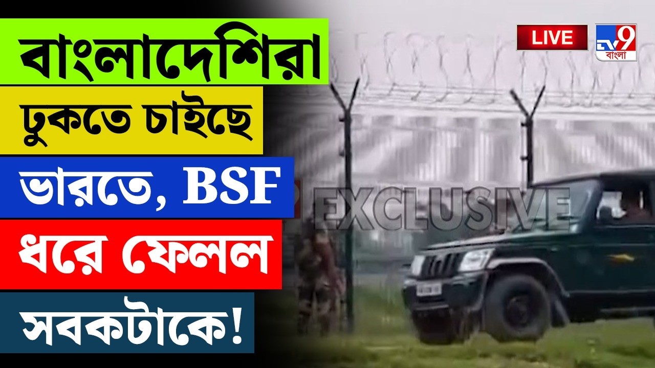 BIG BREAKING | বাংলাদেশিরা ঢুকতে চাইছে ভারতে | BANGLADESHI INFILTRATION | BENGAL BORDER | BSF LIVE