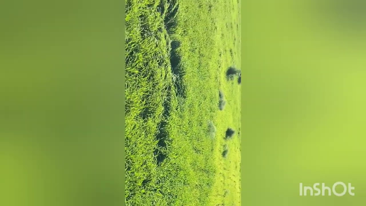 احسن جولة في الباراج🏞💭