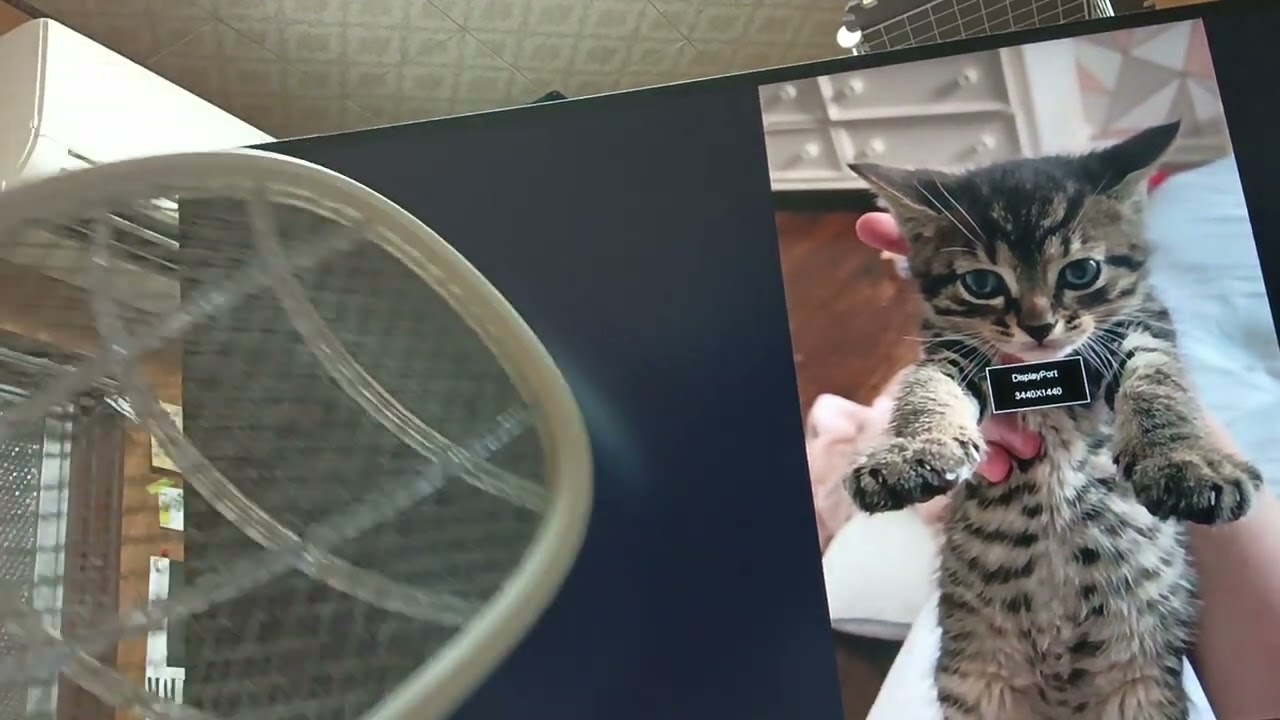 電気ラケット近づけるとディスプレイの電源が消える現象