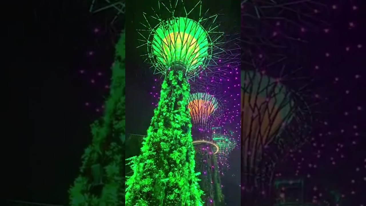 SuperTree Grove Light Show &ndash; dazzling lights synchronized with Chinese New Year music
