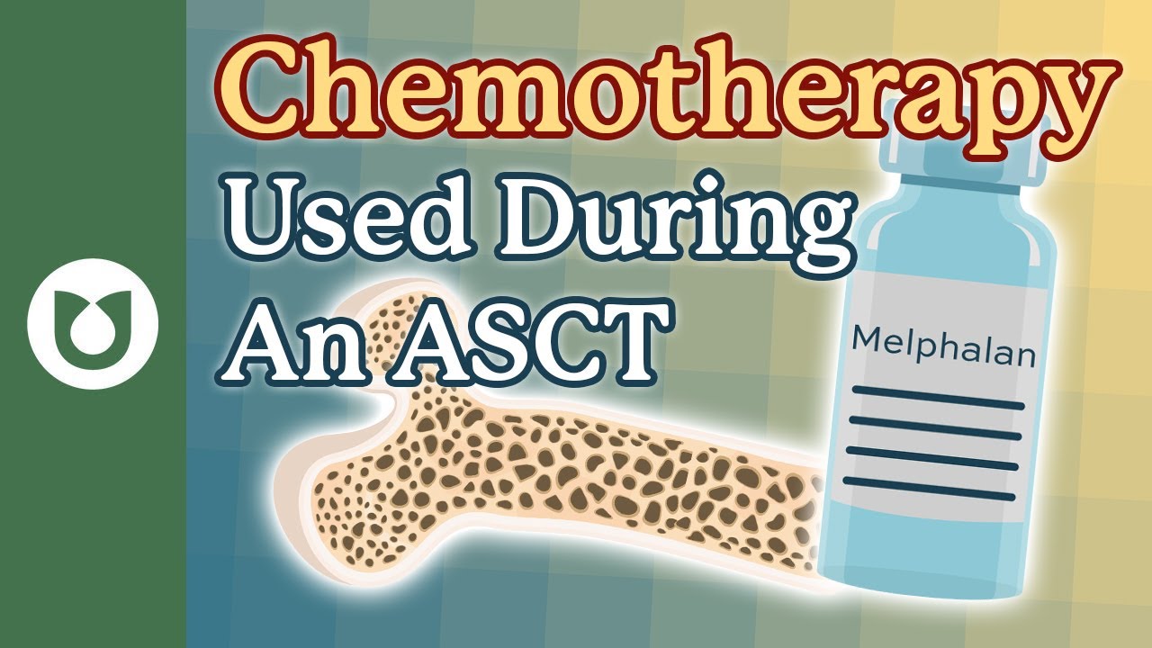 What is the chemotherapy used during an ASCT? Are there other options? #myeloma