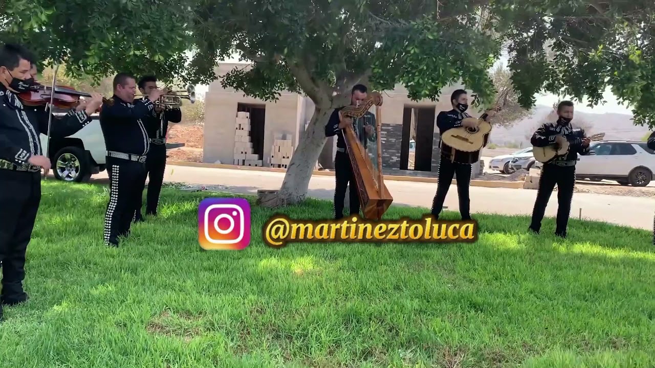 LAS GOLONDRINAS / MARIACHI TOLUCA / MARIACHIS EN TIJUANA