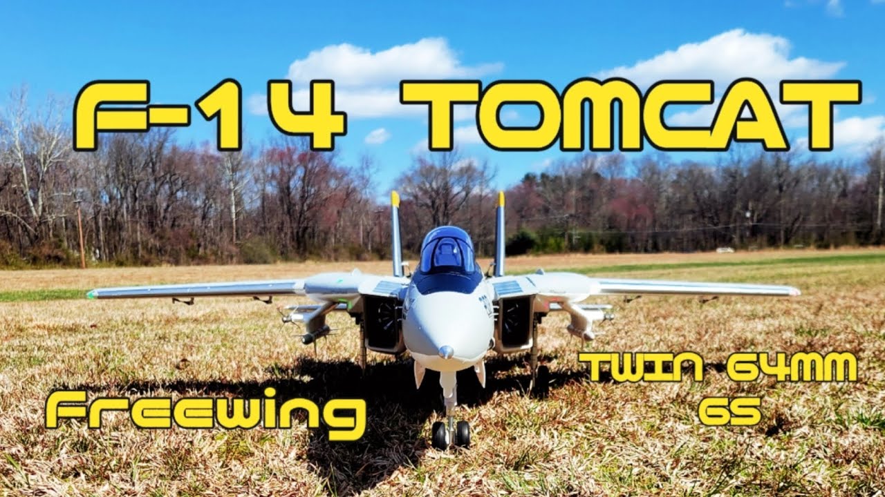 Maiden Flight of the Freewing Twin 64mm F-14 Tomcat