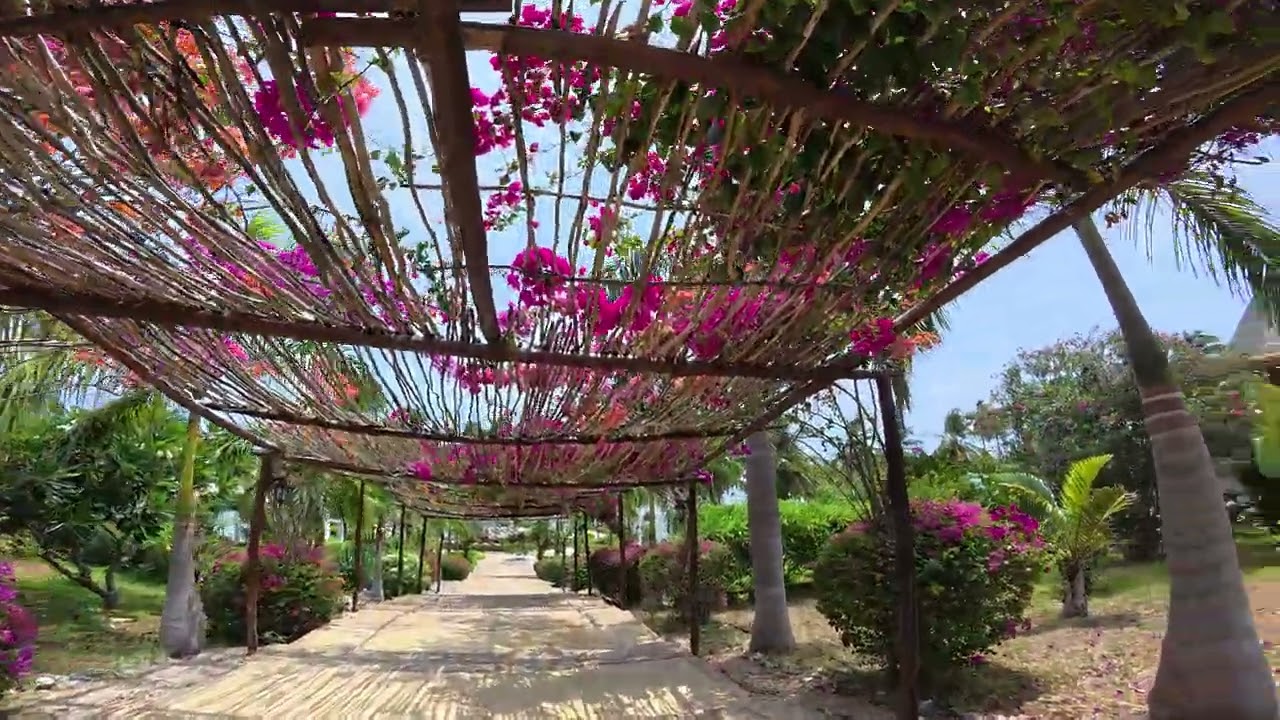 SBH Kilindini Resort - Zanzibar 2026 [Ola & Adrian]