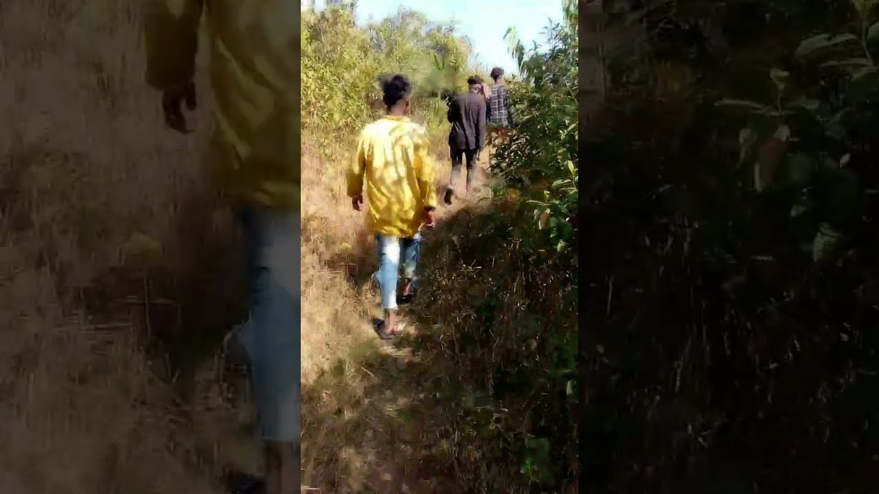 tea garden tour shor #shorts #tour #team