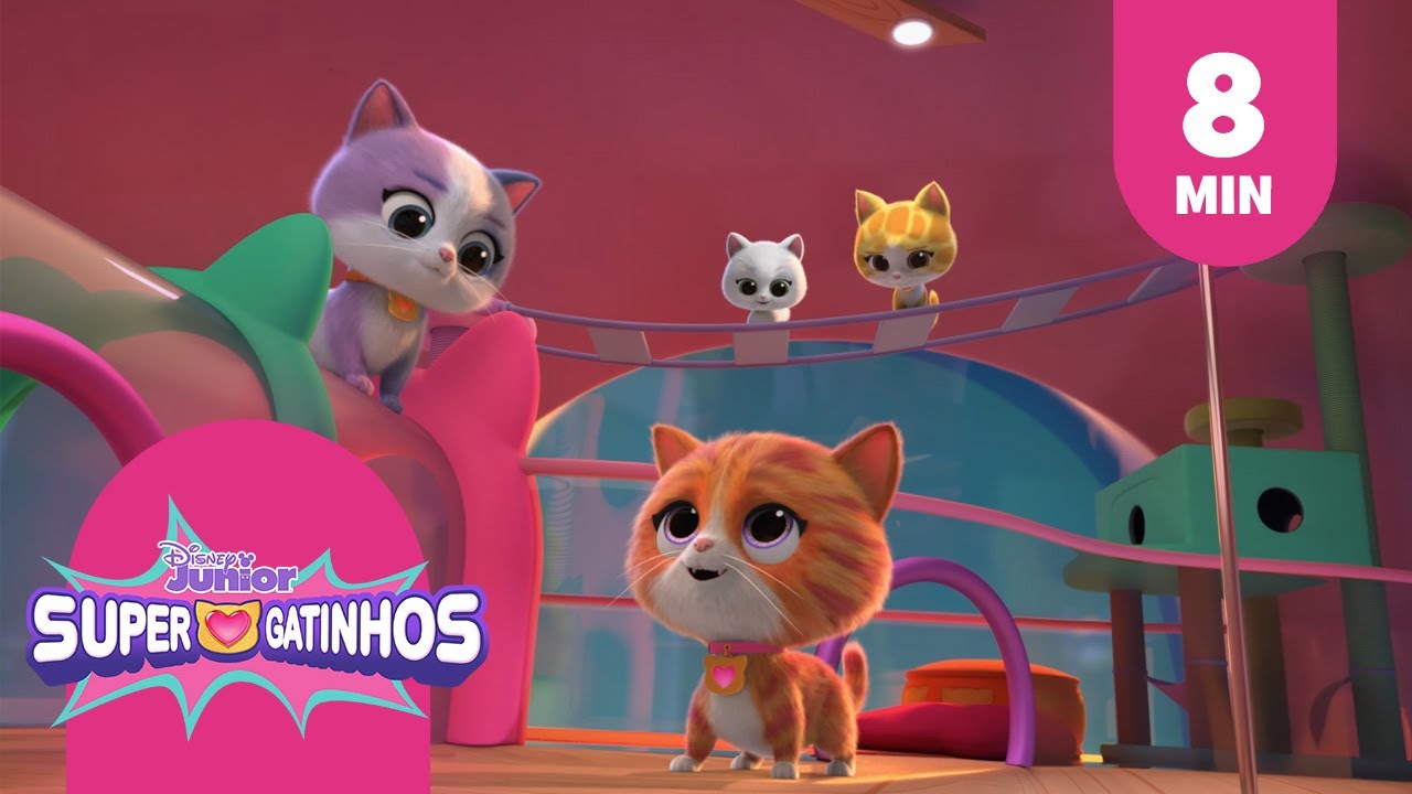 Coleção dos melhores hits | Supergatinhos