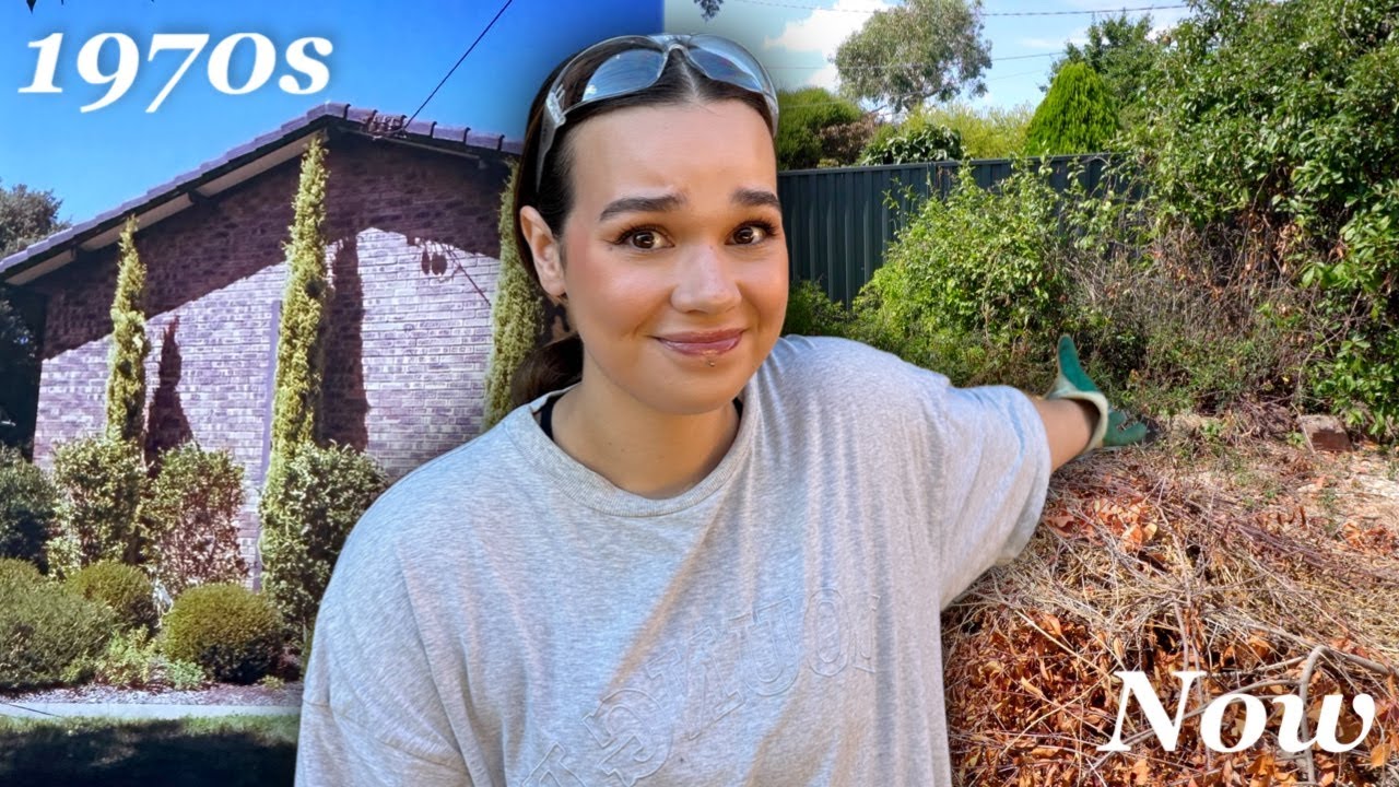 Transforming my EXTREMELY neglected garden