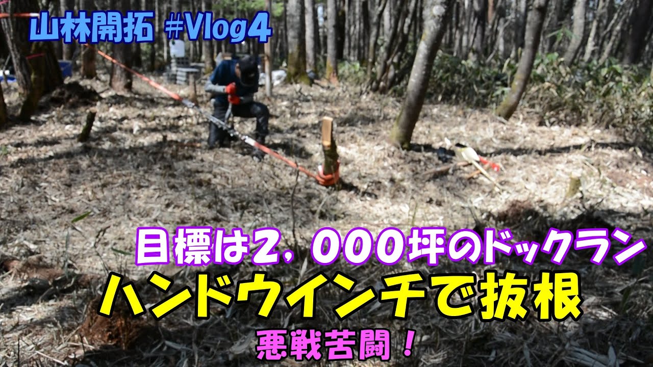 【山林開拓】Vlog.4　初めての　ハンドウインチでの抜根