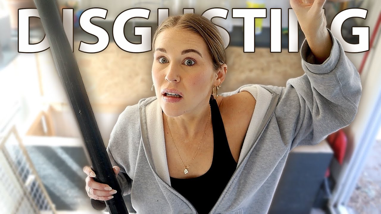 Deep Cleaning My Rabbit Shed: Ultra-Satisfying Transformation