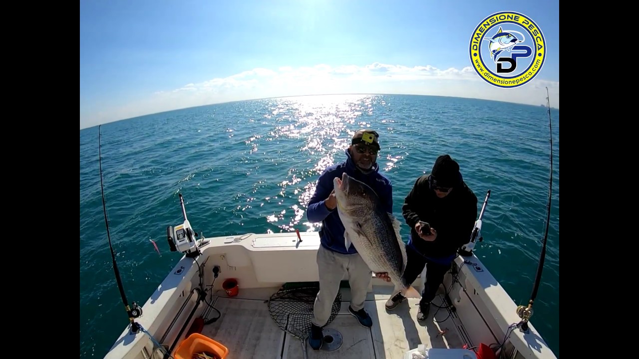 Snapper in depth trolling - Dentice a traina di fondo