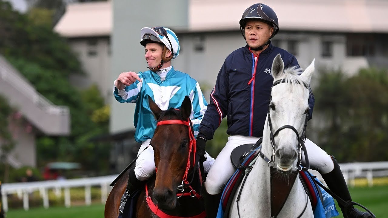 [LONGINES HKIR 2025] Кубок Гонконга LONGINES - Повтор гонки