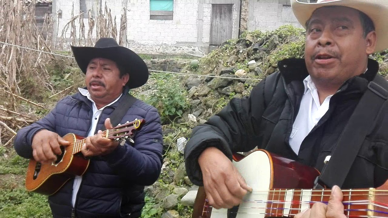 CHACHAHUANTLA,PUE.FELIZ INICIO DE AÑO CON EL TRIO ALEGRÍA HUASTECA DE COPILA,PUE.