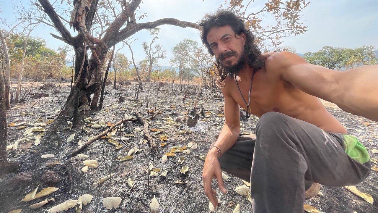 L’OASI distrutta dall’INCENDIO