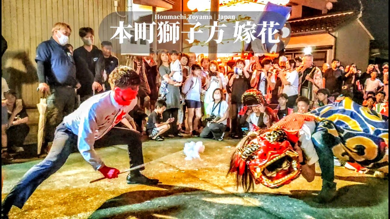 躍動、躍動、そして嫁花｜本町獅子舞 2025｜富山県高岡市伏木本町｜Takaoka Lion Dance