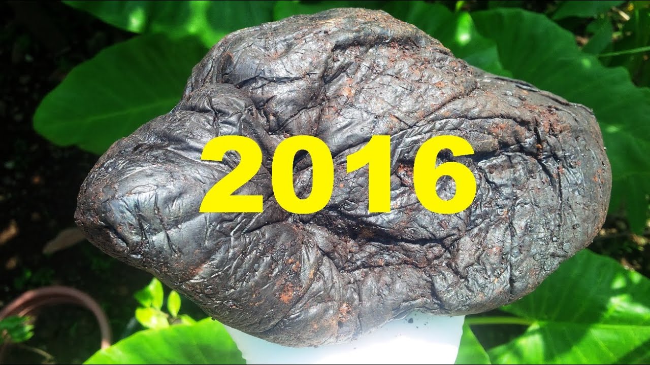 THE BEST OF AGARWOOD 2016