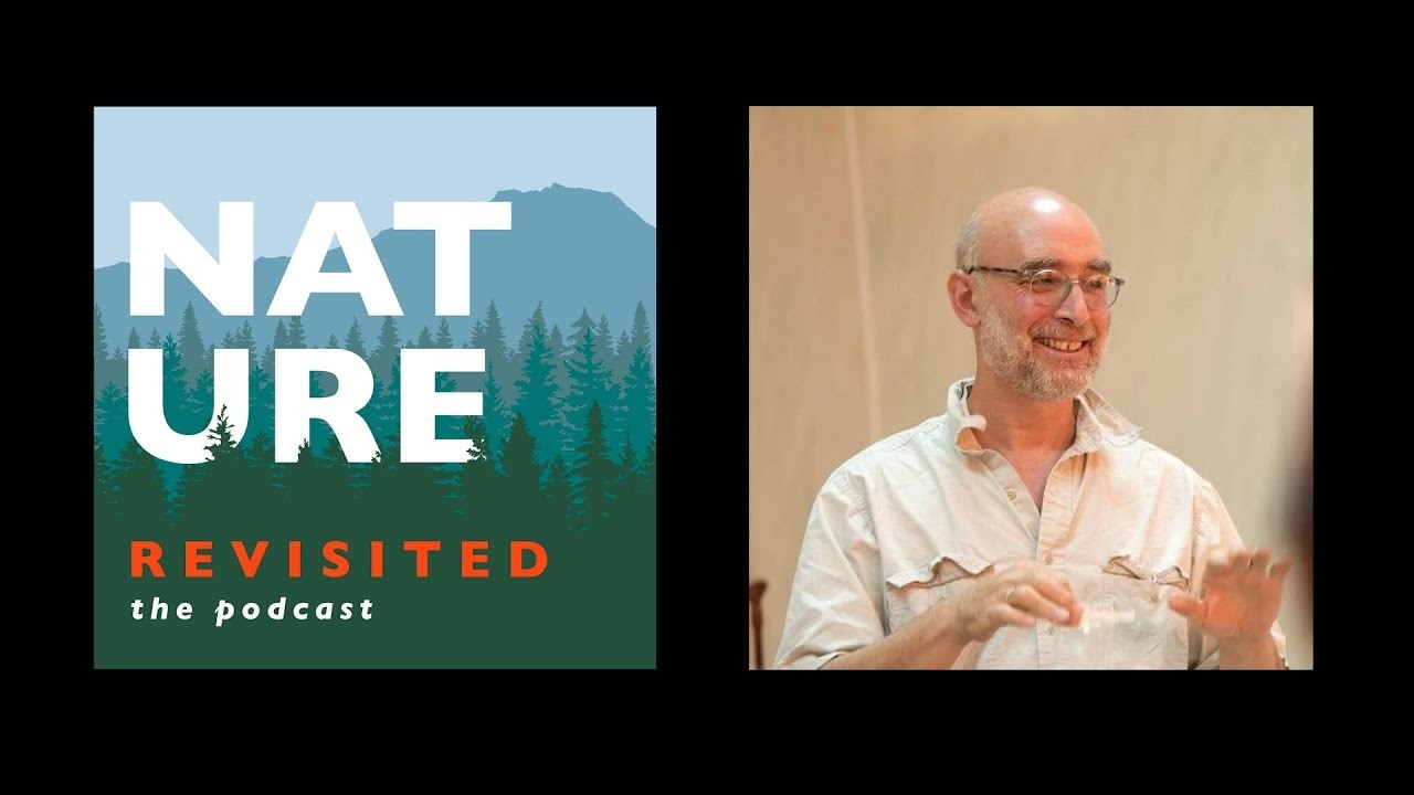 Revisit: Paul Bierman - When The Ice Is Gone