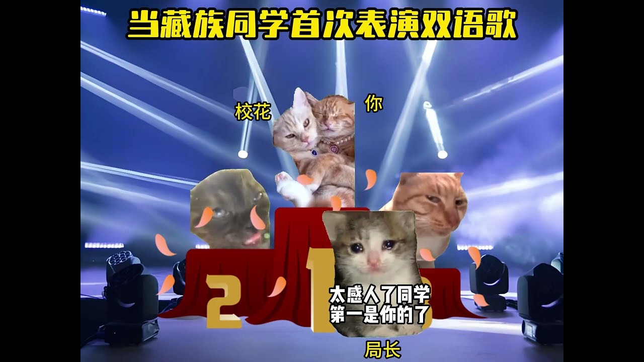 当藏族同学首次表演双语歌 #猫meme #猫meme小剧场 #猫meme剧场 #内容过于真实  #搞笑
