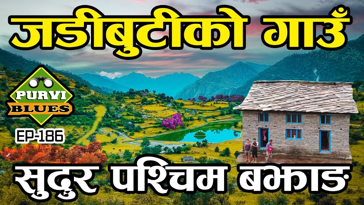 जडीबुटीले धानेको सुदुरपश्चिमको गाउँ । यार्सागुम्बा खोज्दै हिमालमा 3 महिना || सुर्मा गाउँपालिका बझाङ