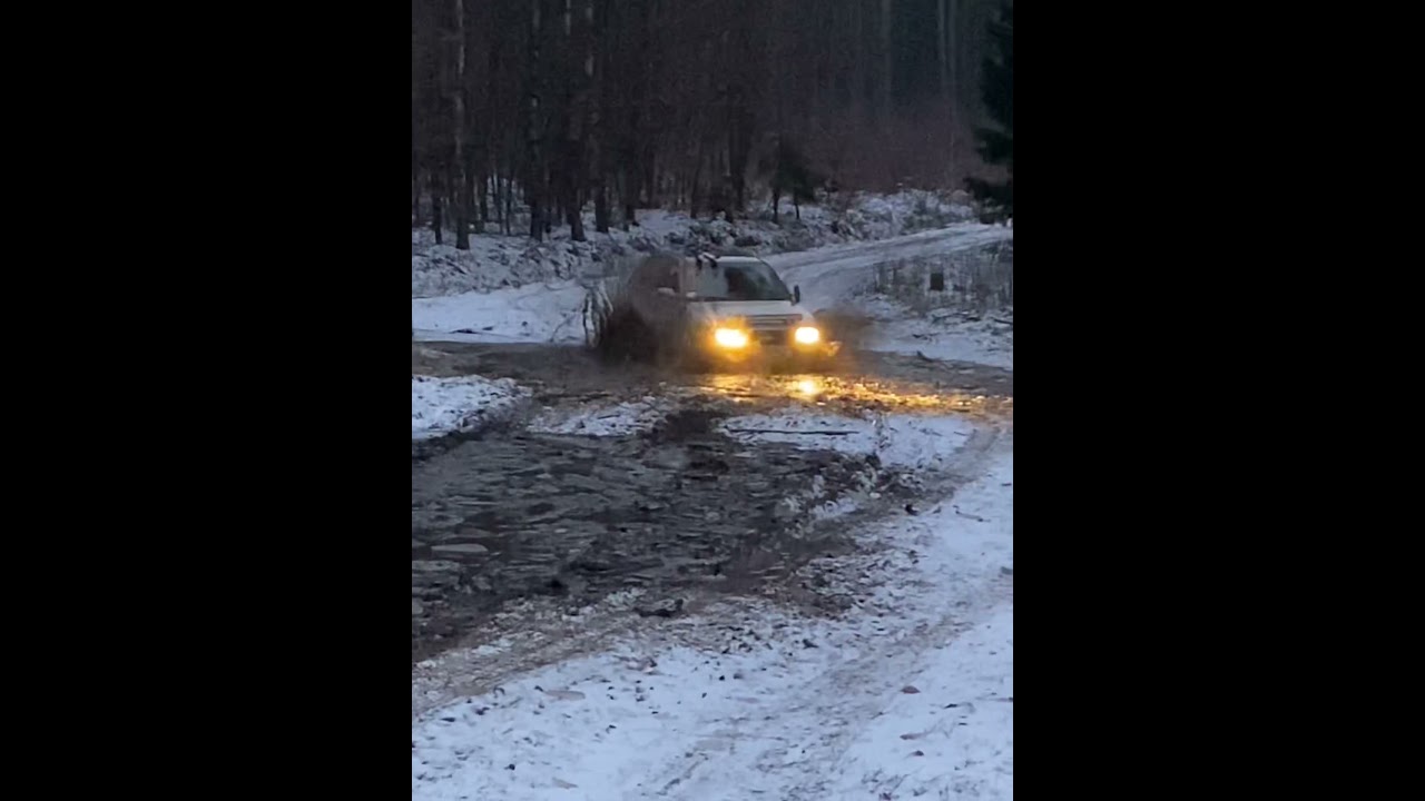 OFF-ROAD Asterka Boża Opel Astra F