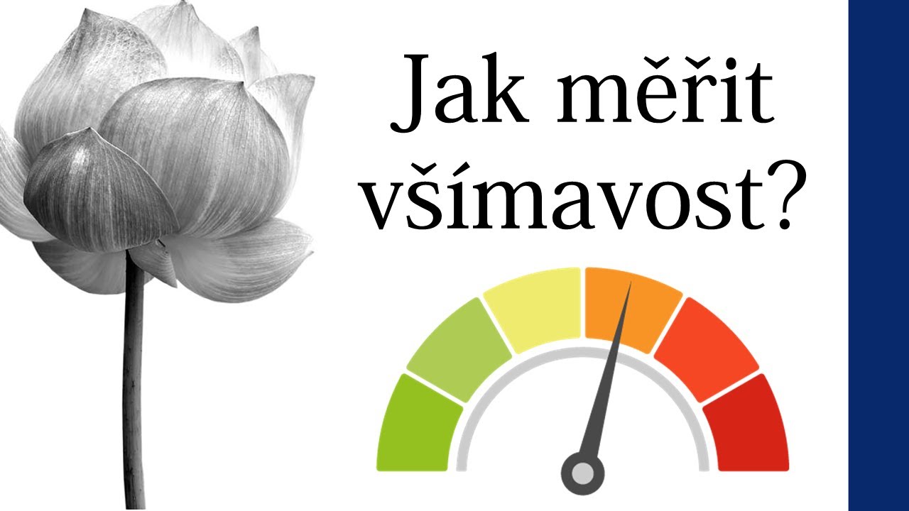 Jak měřit všímavost (mindfulness)?
