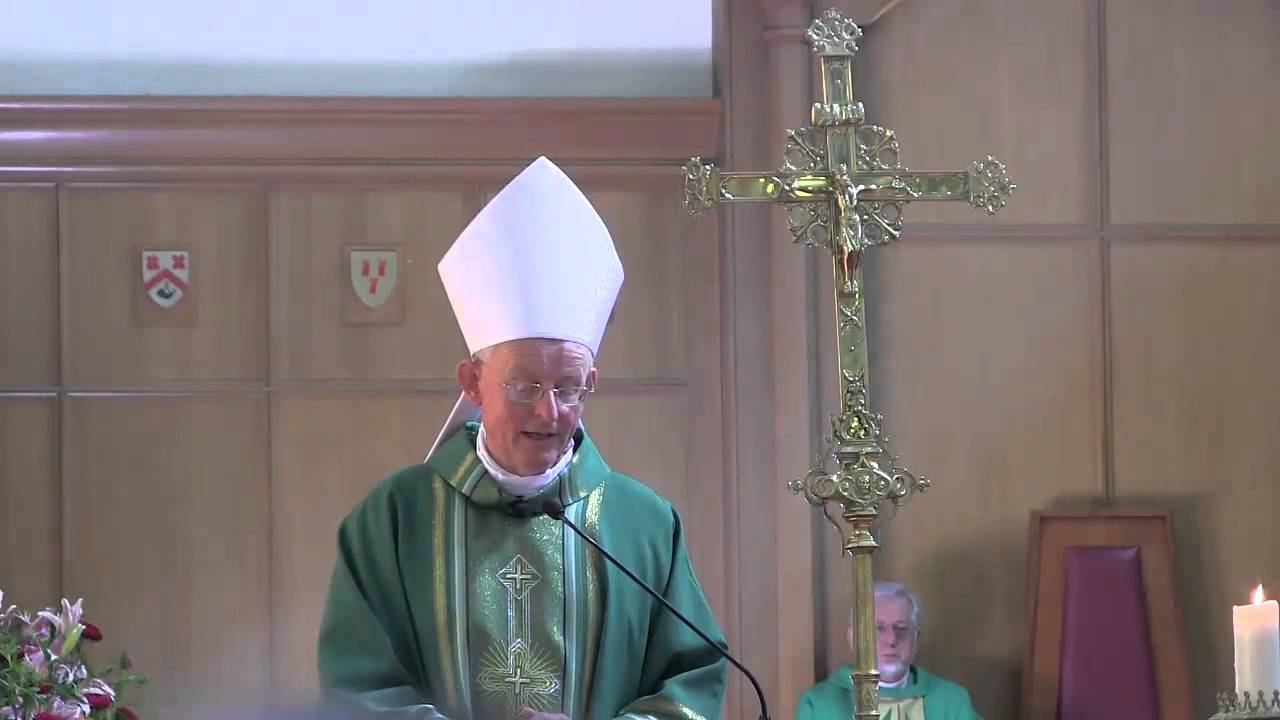Homily for 20th Sunday in Ordinary Time Year C