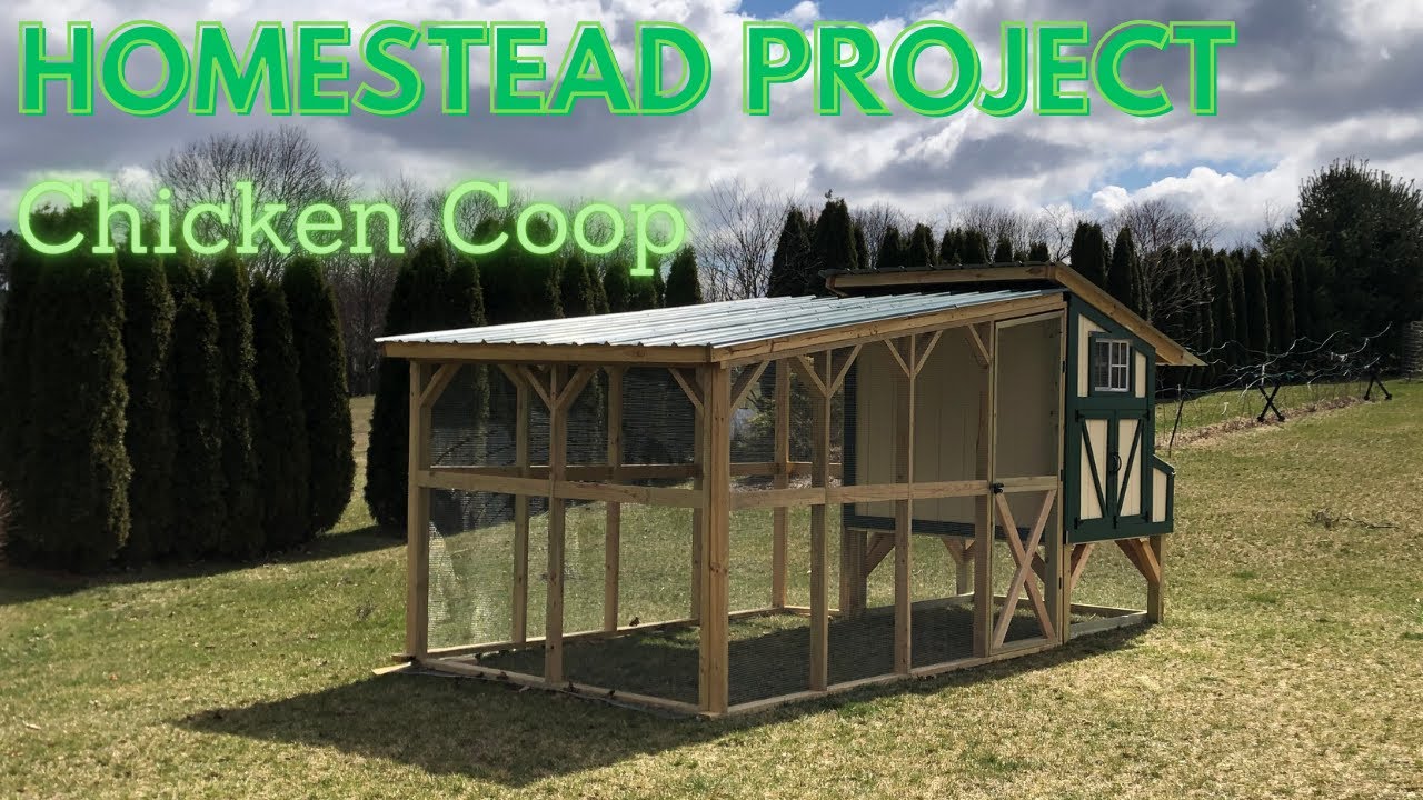 Chicken Coop Build