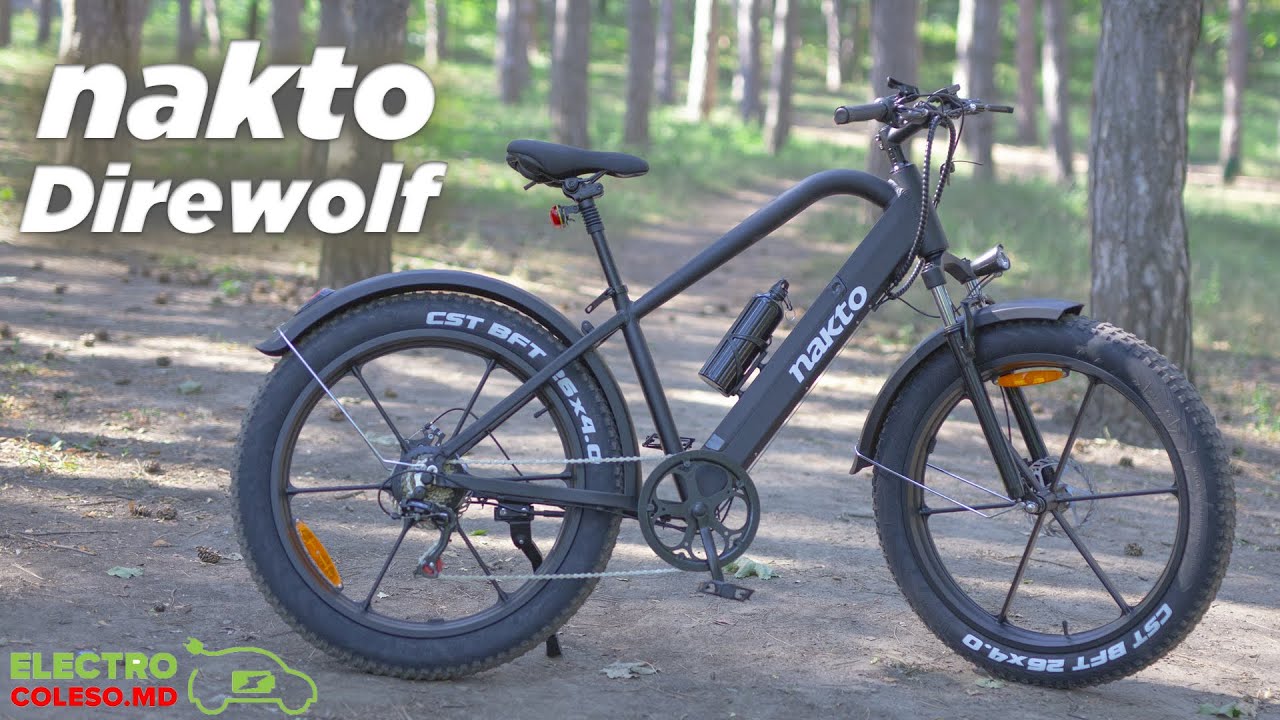 Bicicleta electrică NAKTO Direwolf (Cruiser)  - Review COLESO.MD