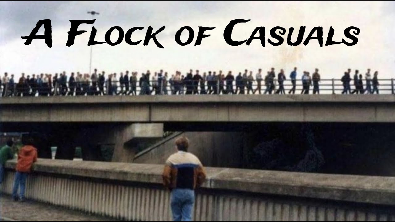A Flock of Casuals