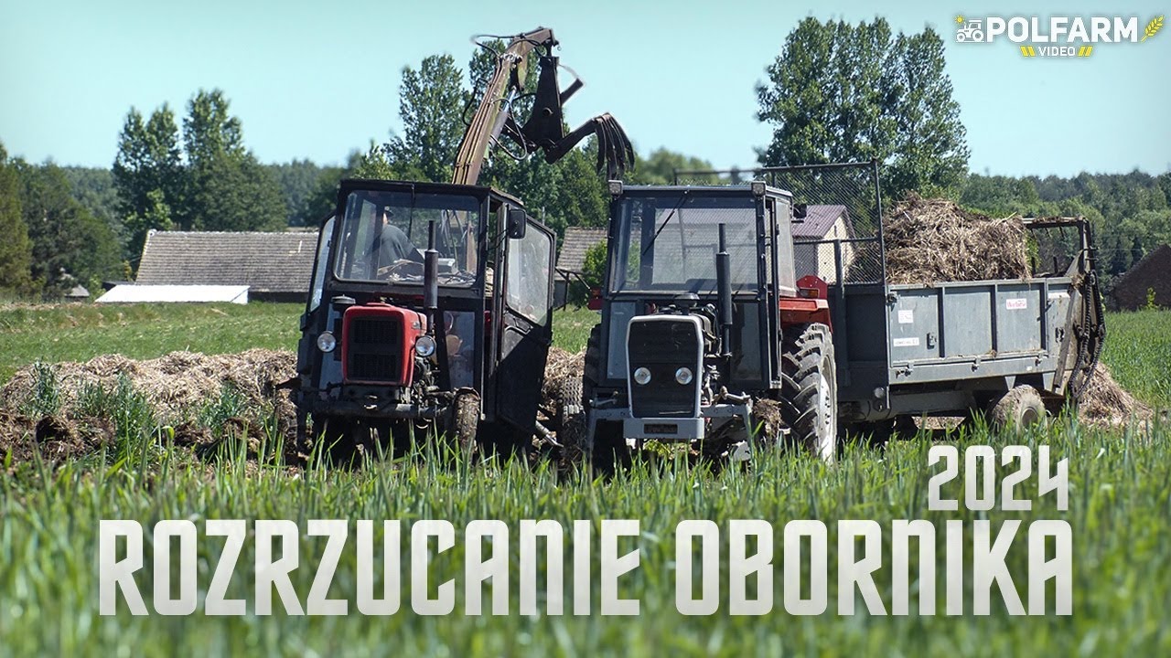 👨‍🌾Rozrzucanie obornika 2024//MF255//C-360//C-330//PolFarm