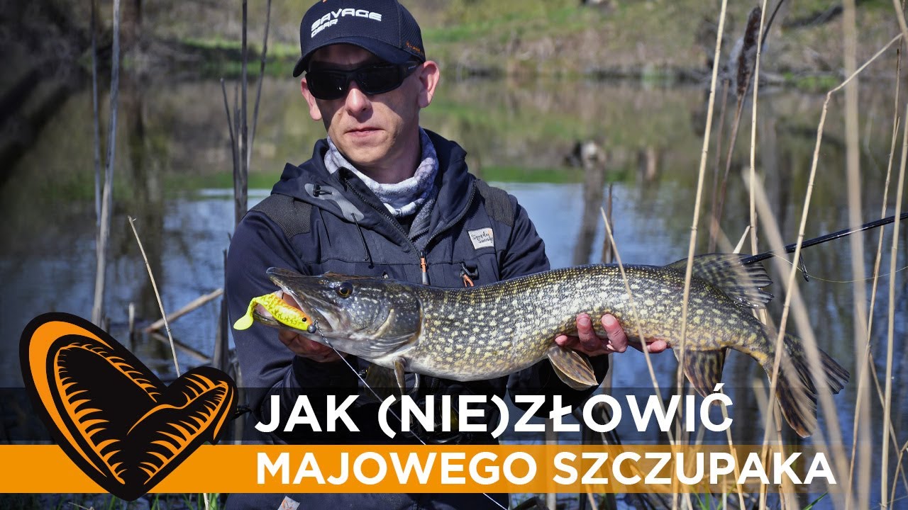 🤯🎣 Jak (nie)złowić majowego #szczupak-a // #SavageGear Polska
