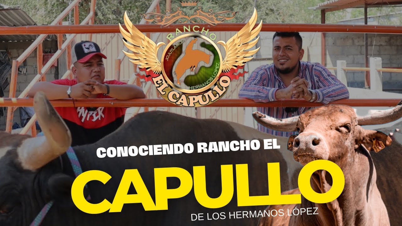 Conociendo los toros de Rancho el Capullo de Jojutla Morelos