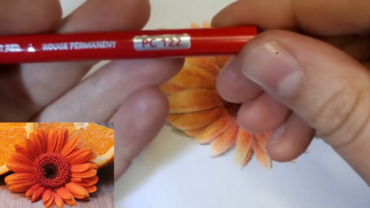 CURSO INTERMEDIO DE DIBUJO Clase 8, comenzamos la flor. INTERMEDIATE DRAWING COURSE, Class 8, flower