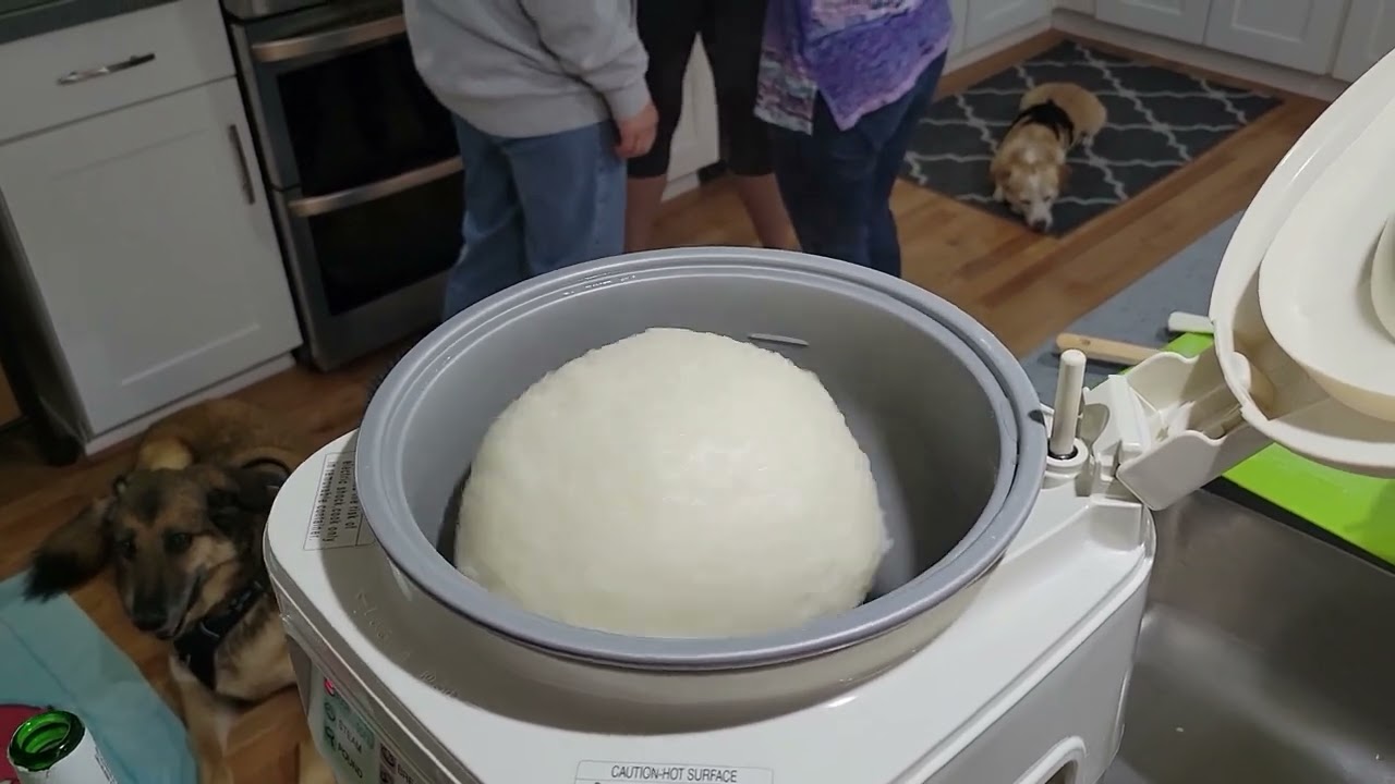 Tiger Automatic Mochi Maker