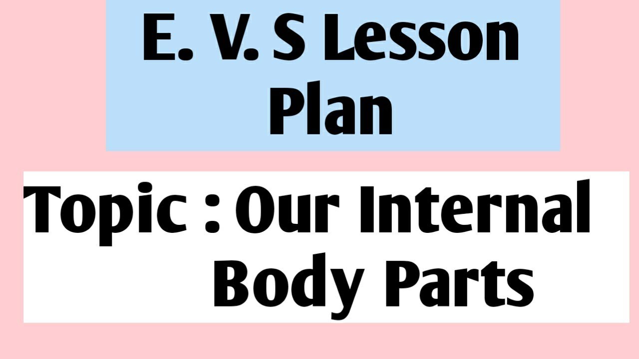 E.V.S ||Our Internal Body Parts