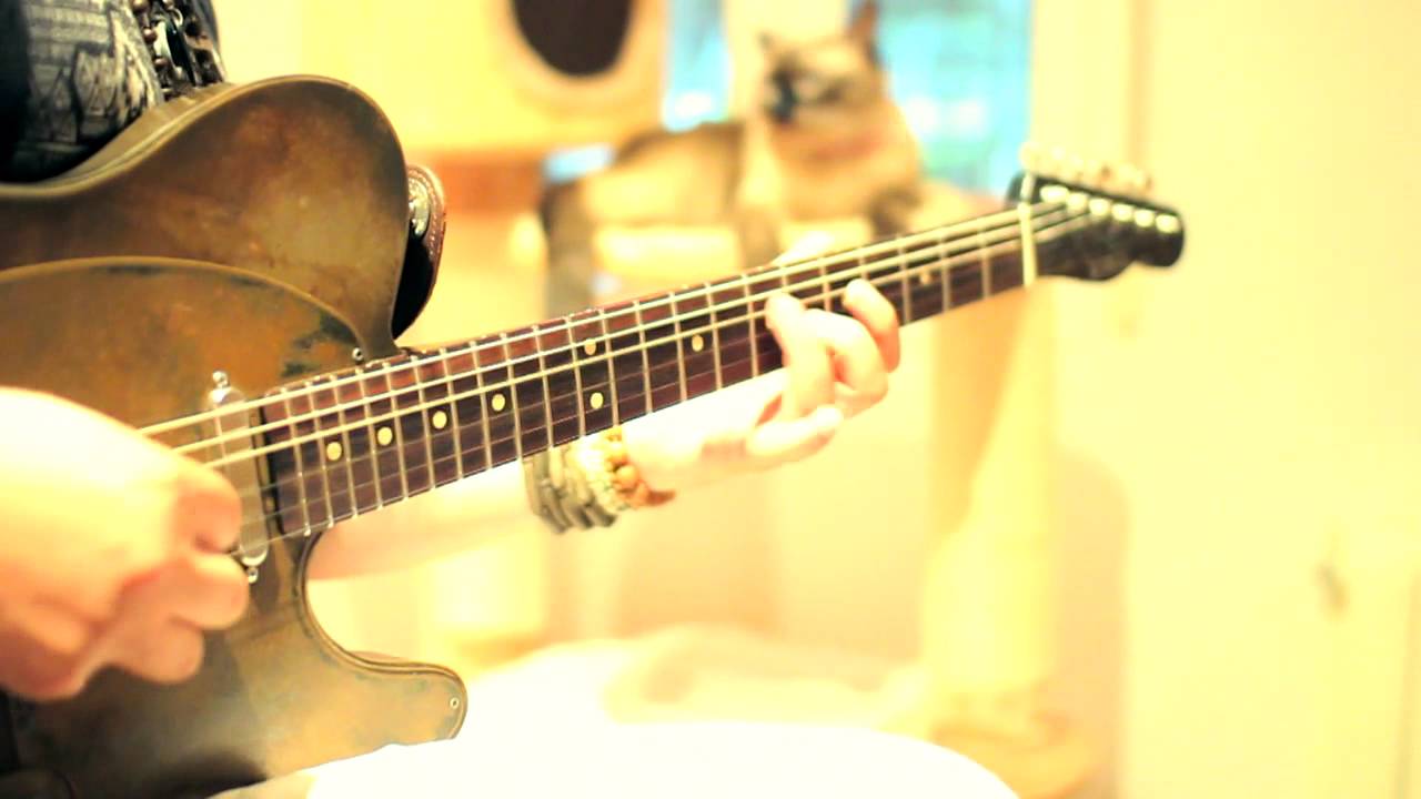 TC Electronic Corona  Mini Chorus