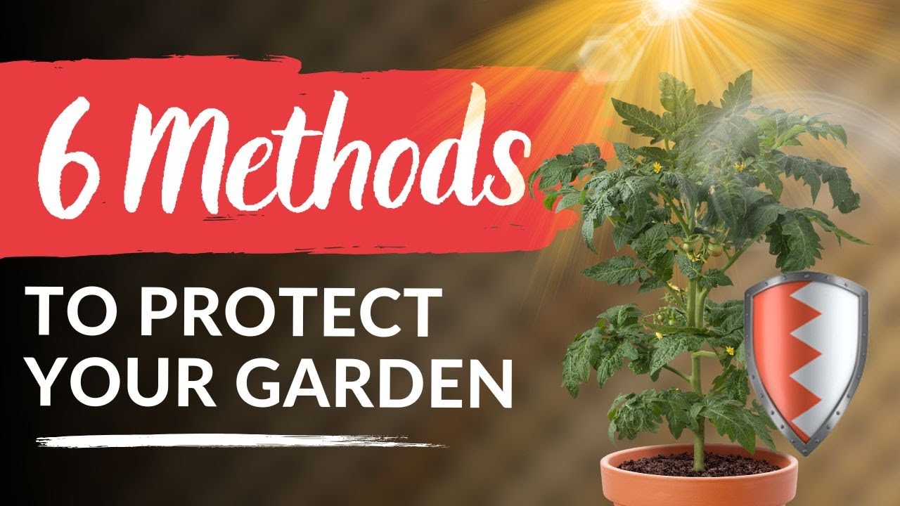 6 Ways to Protect Your Garden From Extreme Wind & Sun ☀️🌬️