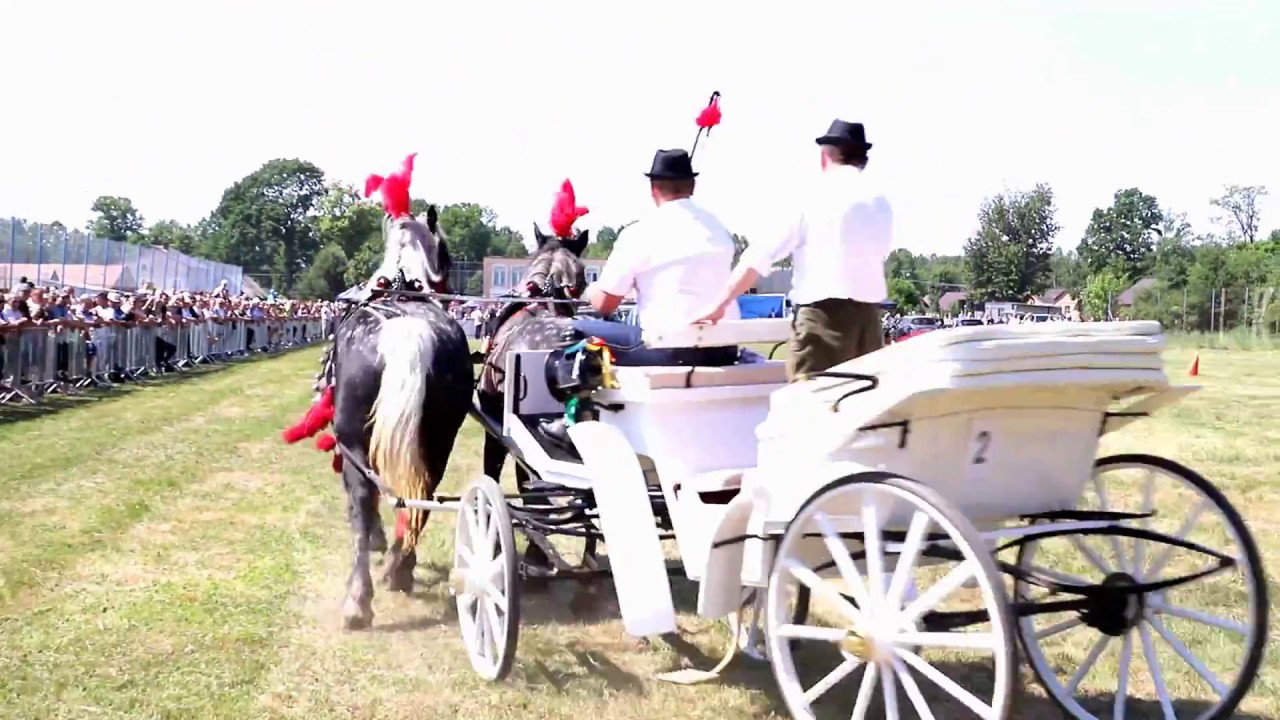 X Parada Konna w Żarówce 27 maja 2018