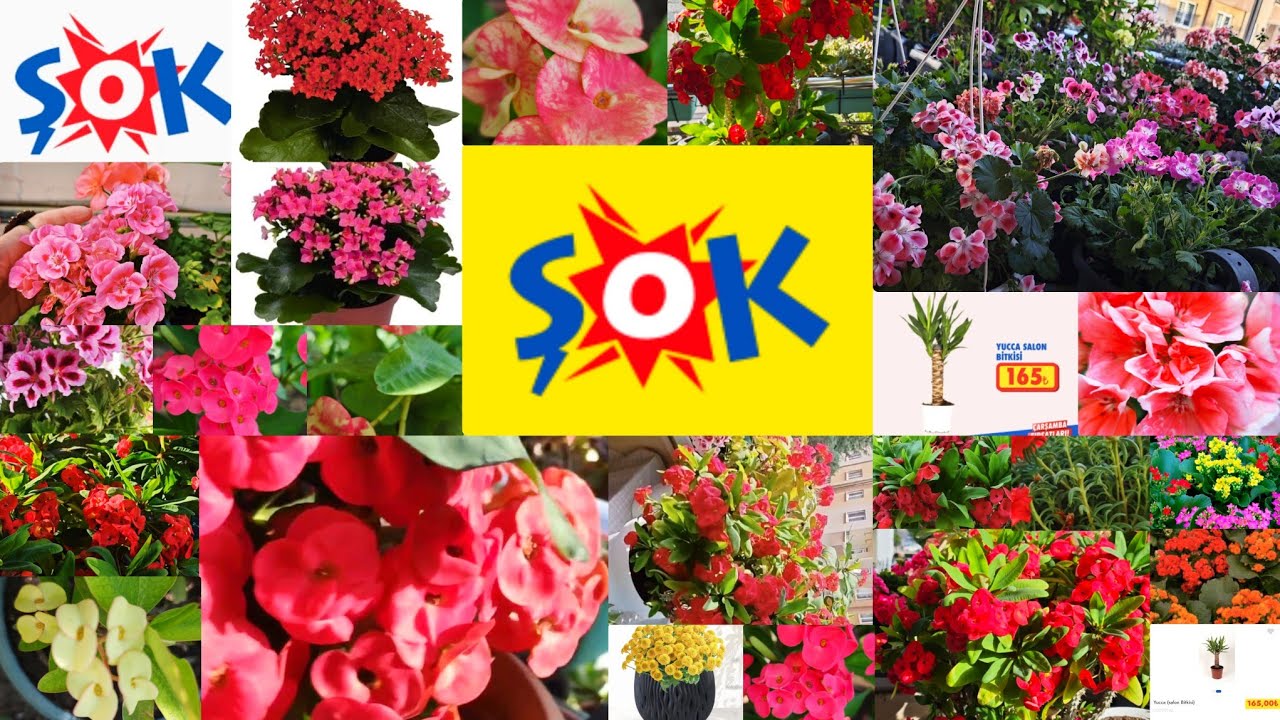 📢ŞOK MARKET GETİRMİŞ📢TATİL SONRASI BALKON TURU