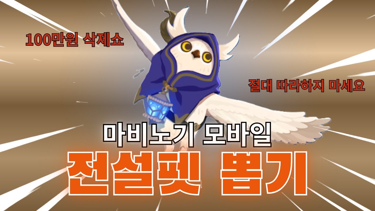 펫 200뽑 하... [마비노기 모바일]