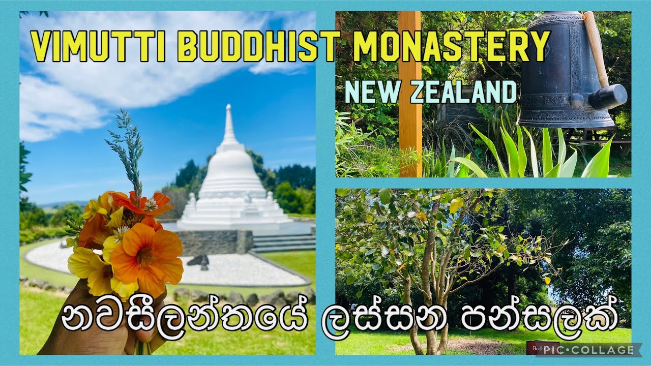 Our first visit to Vimutti Buddhist Monastery, Bombay, New Zealand