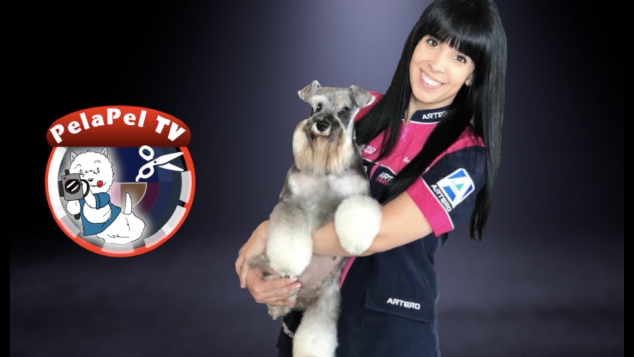 CURSO PELUQUERÍA CANINA  -  HIGIENE BÁSICA DEL PERRO CON SONIA LUENGO DE ARTERO CREATIVE TEAM