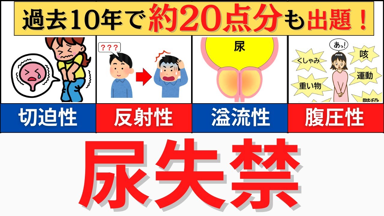 【20分で解説、1時間で国試問題】尿失禁について解説！国試合格には必須です！