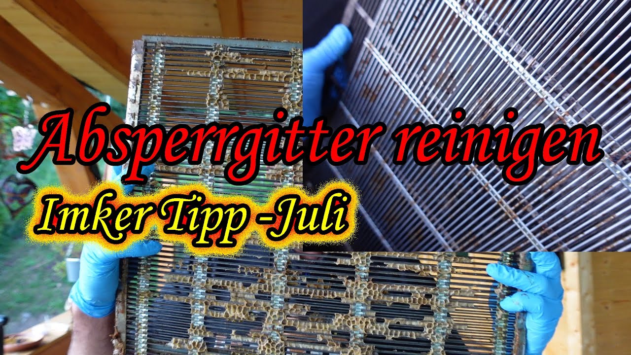 Absperrgitter reinigen. Imker Tipp des Monats