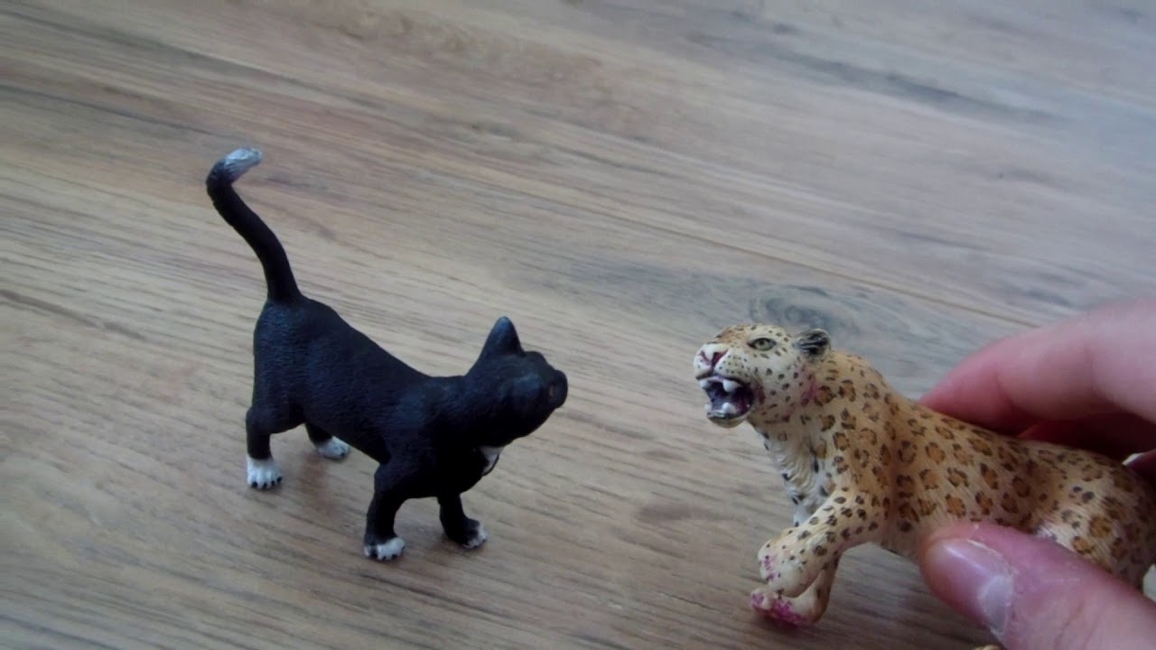 Serial schleich:Przygody w Stadninie 